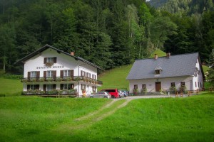 MendlingBauer - Urlaub am Bauernhof - Göstling/Lassing/Hochkar